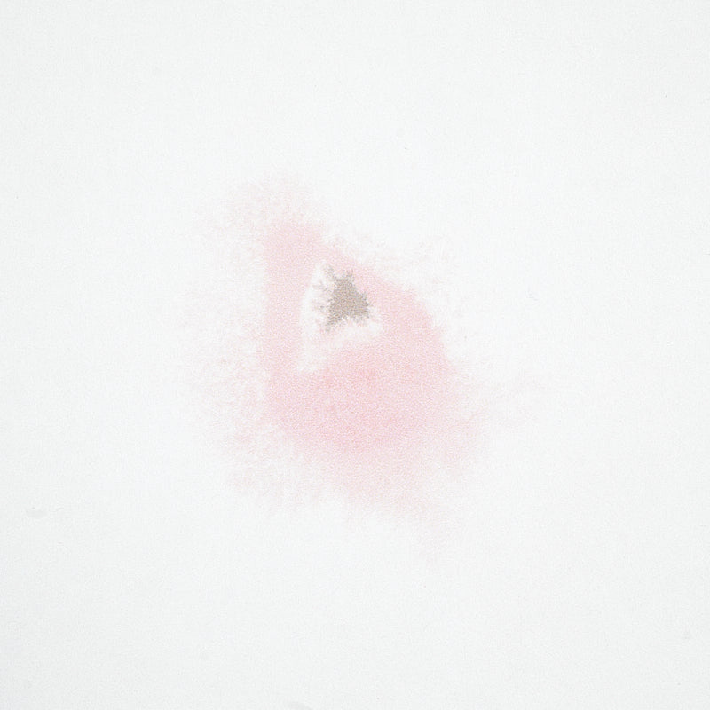 Stellar Blush by Porter Teleo Celestial Abstract Wallpaper – Schumacher 5012191