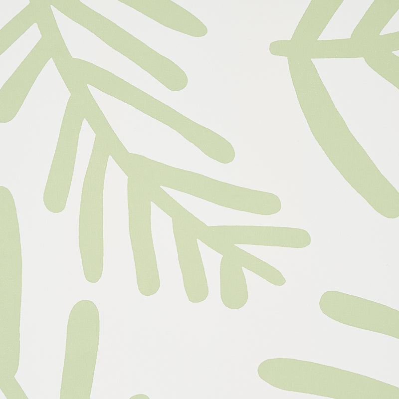 TIAH COVE Sage Leaf by Caroline Z Hurley Botanical Wallpaper – Schumacher 5012450