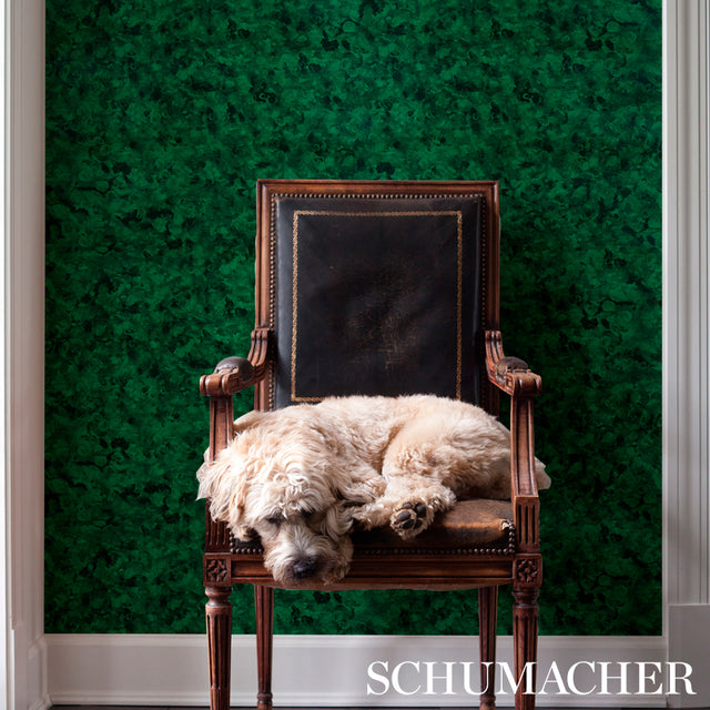 Xanadu Malachite by Cristina Buckley Green Tortoise-Shell Wallpaper – Schumacher 5012600