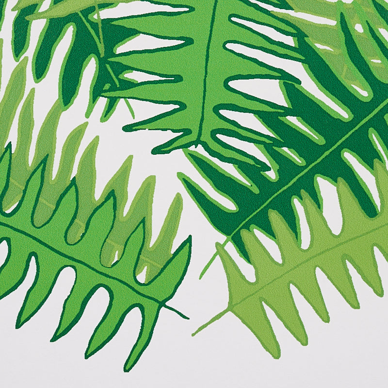 Canyon Ferns Jungle by Cristina Buckley Botanical Wallpaper – Schumacher 5012621