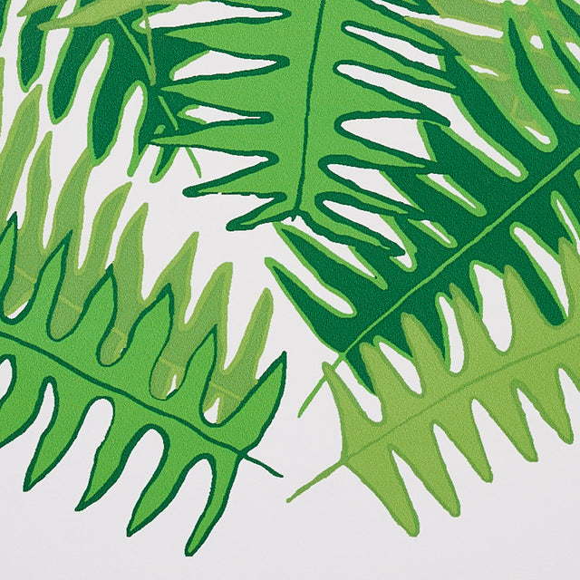 Canyon Ferns Jungle by Cristina Buckley Botanical Wallpaper – Schumacher 5012621