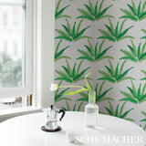Canyon Ferns Jungle by Cristina Buckley Botanical Wallpaper – Schumacher 5012621
