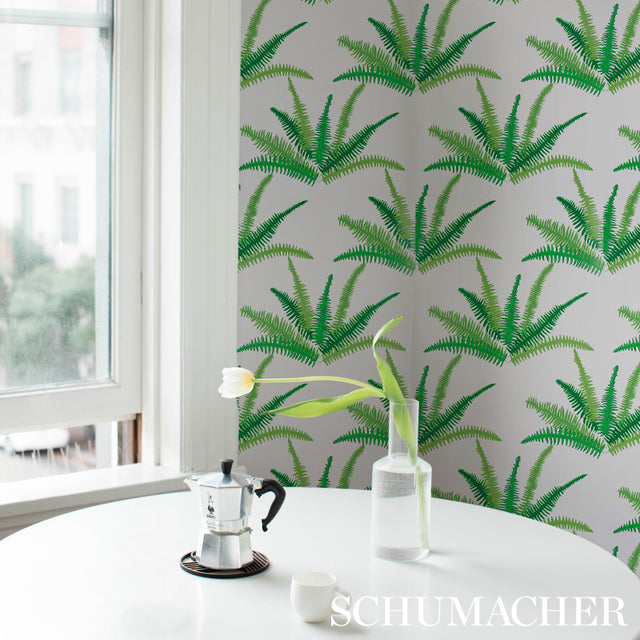Canyon Ferns Jungle by Cristina Buckley Botanical Wallpaper – Schumacher 5012621