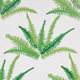Canyon Ferns wallpaper in Jungle colorway by Schumacher, featuring large-scale green fern fronds in a botanical pattern designed by Cristina Buckley.