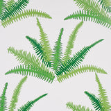Canyon Ferns wallpaper in Jungle colorway by Schumacher, featuring large-scale green fern fronds in a botanical pattern designed by Cristina Buckley.