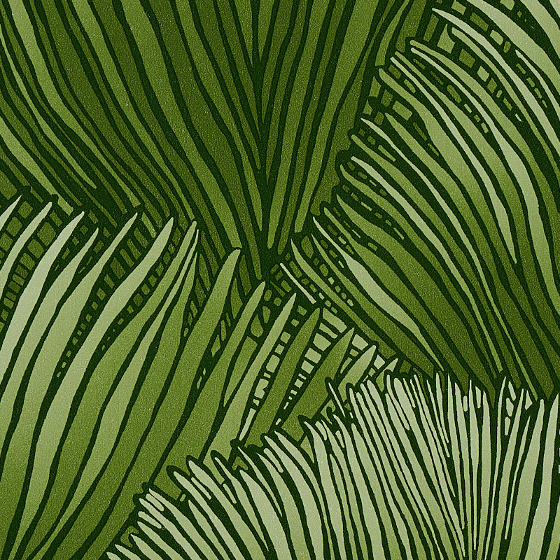 FONDALE Green Botanical Palm Frond Wallpaper – Schumacher 5012652