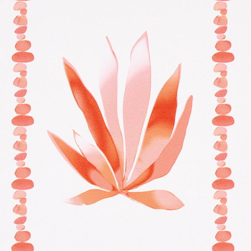 Agave Stripe Grapefruit by Peg Norriss Modern Botanical Wallpaper – Schumacher 5012682