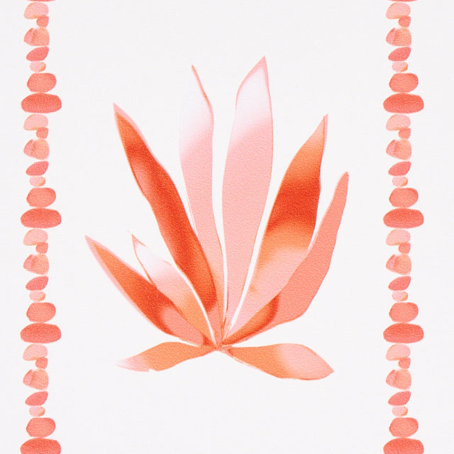 Agave Stripe Grapefruit by Peg Norriss Modern Botanical Wallpaper – Schumacher 5012682
