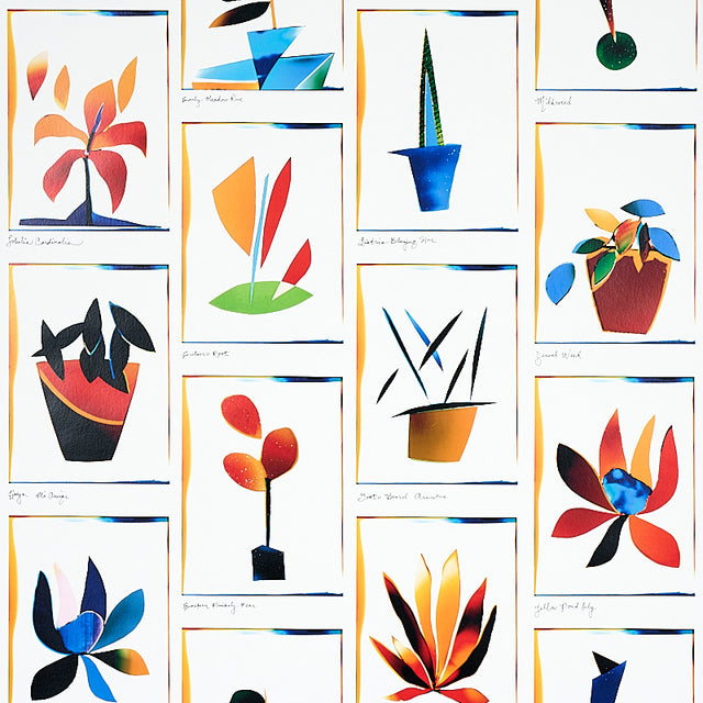 Botanicals Spectrum Multi wallpaper by Peg Norriss for Schumacher, featuring colorful abstract botanical illustrations in a collage style.