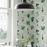 Botanicals Greenhouse by Peg Norriss Botanical Collage Wallpaper – Schumacher 5012691