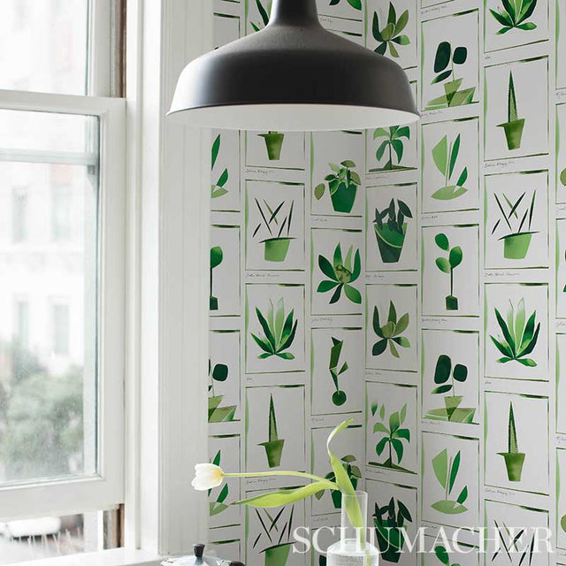 Botanicals Greenhouse by Peg Norriss Botanical Collage Wallpaper – Schumacher 5012691