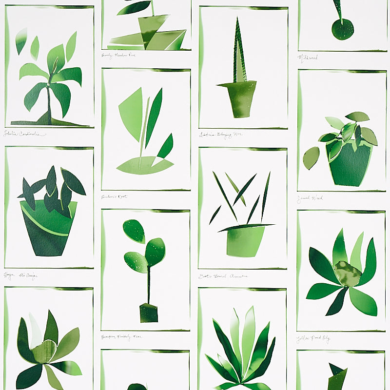Botanicals Greenhouse wallpaper by Peg Norriss for Schumacher, featuring stylized green plant motifs in a collage style.