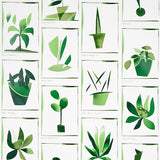 Botanicals Greenhouse wallpaper by Peg Norriss for Schumacher, featuring stylized green plant motifs in a collage style.