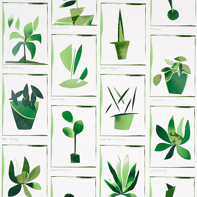 Botanicals Greenhouse wallpaper by Peg Norriss for Schumacher, featuring stylized green plant motifs in a collage style.