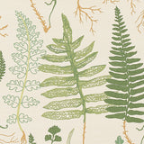 Halcott Sisal Forest Botanical Grasscloth Wallpaper – Schumacher 5013060