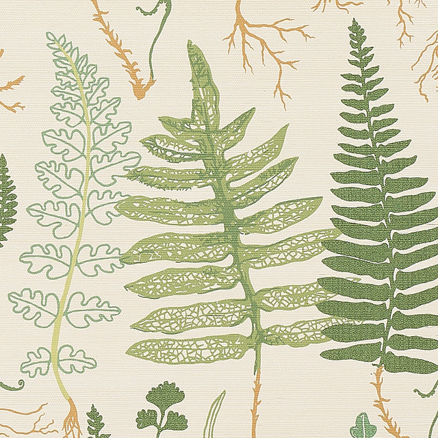 Halcott Sisal Forest Botanical Grasscloth Wallpaper – Schumacher 5013060