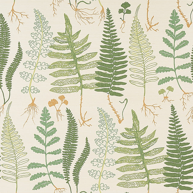 Halcott Sisal wallpaper in Forest colorway, featuring hand-drawn green ferns on a natural sisal ground, by Schumacher.