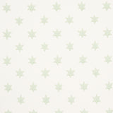 Astral green wallpaper by Schumacher featuring small six-pointed stars in a delicate, celestial pattern.