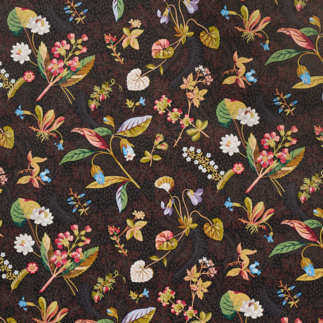 Blackwell Noir wallpaper by Schumacher featuring detailed botanical forms and colorful flowers on a dark background.
