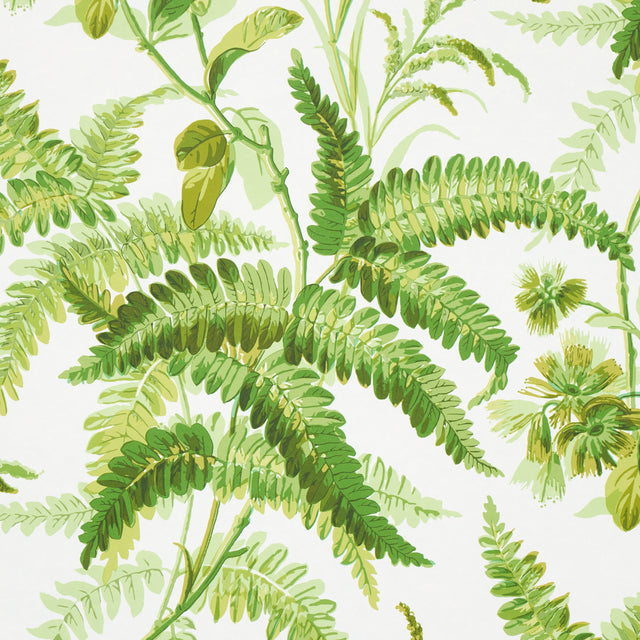 Myers Fern Tropical by Schumacher Botanical Wallpaper – Schumacher 5013231