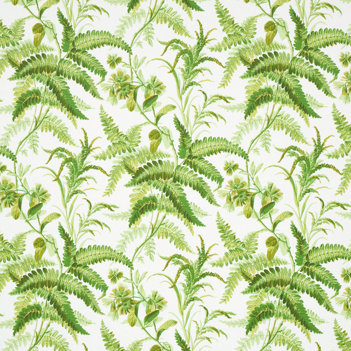 Myers Fern wallpaper in Tropical by Schumacher features a lush green fern and floral botanical pattern on a white background.