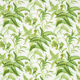 Myers Fern wallpaper in Tropical by Schumacher features a lush green fern and floral botanical pattern on a white background.