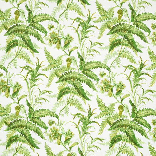 Myers Fern wallpaper in Tropical by Schumacher features a lush green fern and floral botanical pattern on a white background.