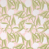 Rubus Blush painterly floral wallpaper with stylized two-tone leaves and large graphic globes of flowers by Schumacher