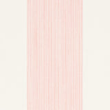 Edwin Stripe Wide Petal by Schumacher Classic Wide Stripe Wallpaper – Schumacher 5013620