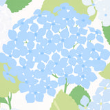 Hydrangea Porcelain Blue and Green by Schumacher Full Bloom Floral Wallpaper – Schumacher 5013630