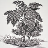Toussaint Toile Black on Ivory by Victor Glemaud Historic Haitian Toile Wallpaper – Schumacher 5013770