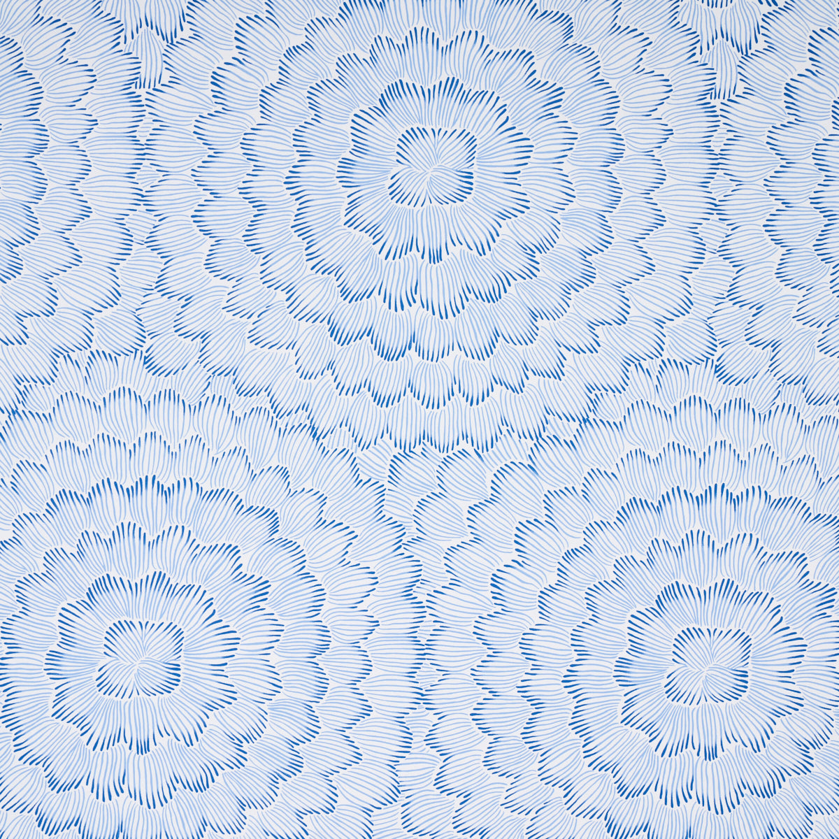 Feather Bloom blue wallpaper by Celerie Kemble for Schumacher, featuring radiating overscale floral patterns.