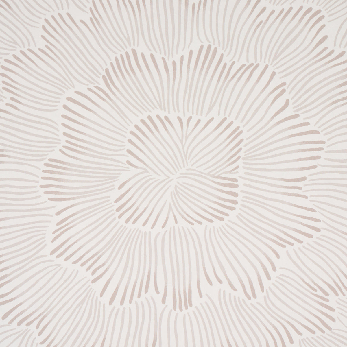 Feather Bloom Soft Neutral by Celerie Kemble Radiating Blossom Wallpaper – Schumacher 5013821