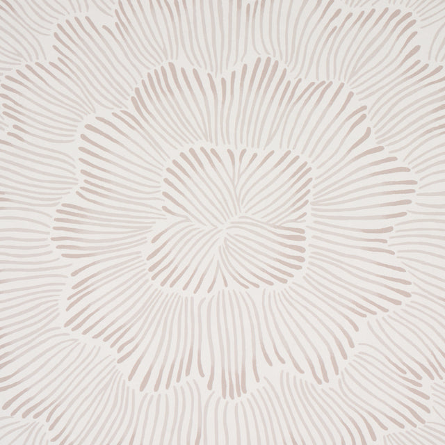 Feather Bloom Soft Neutral by Celerie Kemble Radiating Blossom Wallpaper – Schumacher 5013821