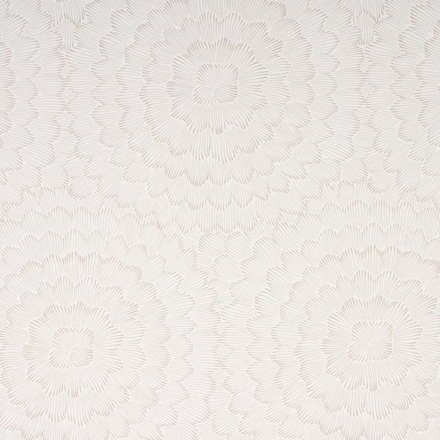 Feather Bloom wallpaper in soft neutral by Celerie Kemble for Schumacher, featuring a radiating overscale blossom pattern.
