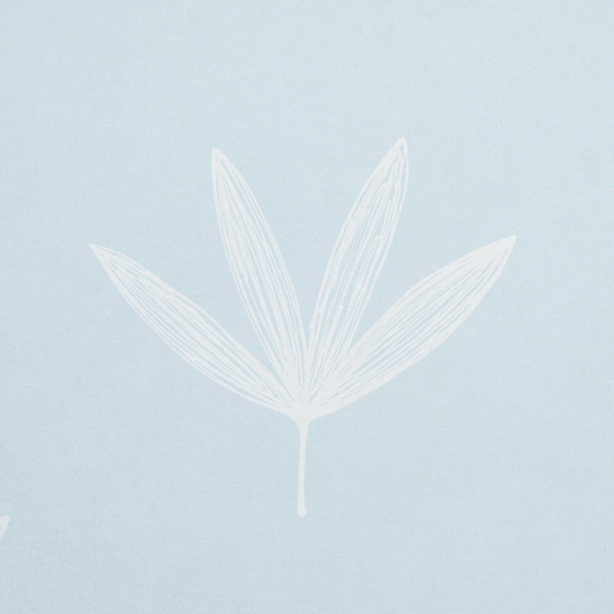 Rue Sky by Schumacher Soft Modern Leaf Line Drawing Wallpaper – Easy Elements Collection 5013920