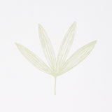 Rue Green Leaf Modern Botanical Wallpaper – Schumacher 5013921