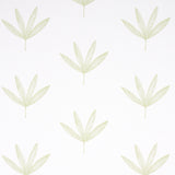 Rue green leaf line drawing wallpaper by Schumacher, modern botanical wallcovering in a soft green colorway