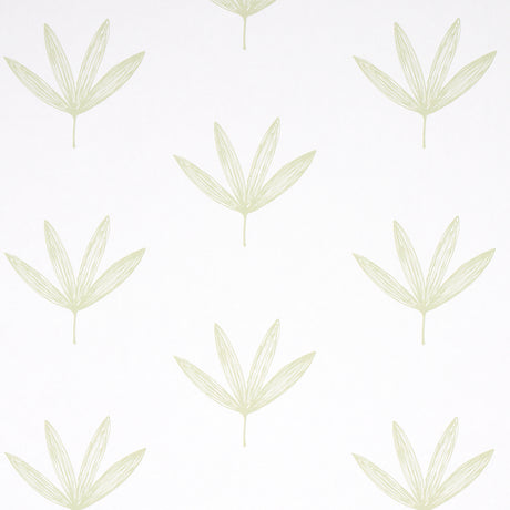 Rue green leaf line drawing wallpaper by Schumacher, modern botanical wallcovering in a soft green colorway