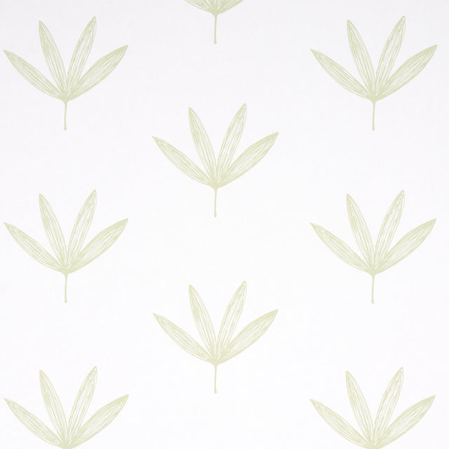 Rue green leaf line drawing wallpaper by Schumacher, modern botanical wallcovering in a soft green colorway