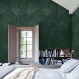 Hand-Combed Plaster Green Leaf by David Kaihoi Schumacher Wallcovering – Schumacher 5013952