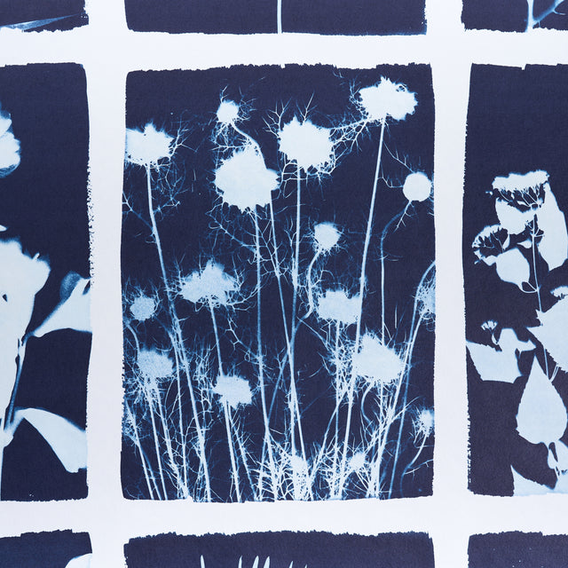Cyanotype Panel Indigo Botanical Grid Wallpaper – Schumacher 5013970