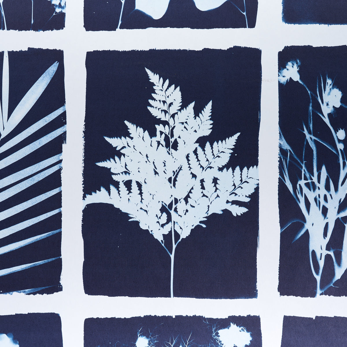 Cyanotype Panel Indigo Botanical Grid Wallpaper – Schumacher 5013970