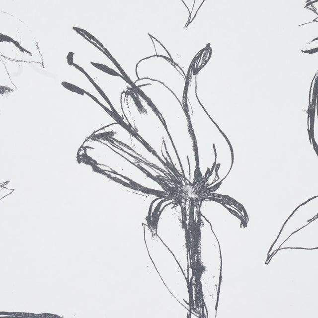Close Your Eyes and Remember Soft Black by Hera Ford Botanical Wallpaper – Schumacher 5014080