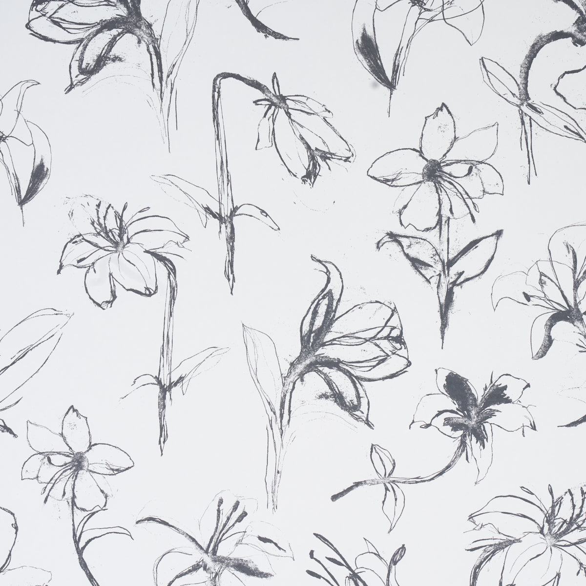 Close Your Eyes and Remember wallpaper by Hera Ford for Schumacher, featuring a loose, gestural botanical floral pattern in soft black.
