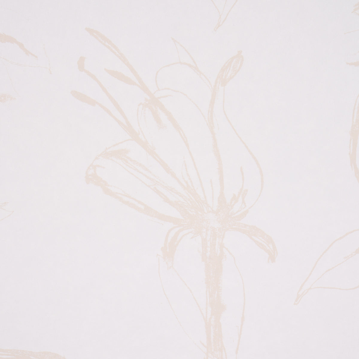 Close Your Eyes and Remember Light Neutral by Hera Ford Botanical Wallpaper – Schumacher 5014081