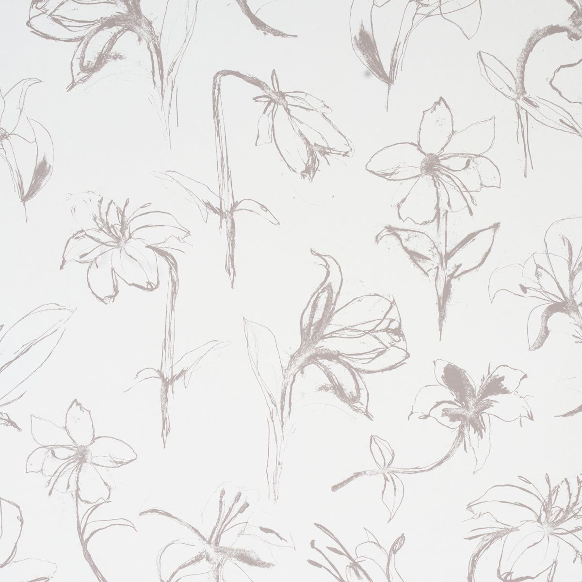 Close Your Eyes and Remember wallpaper in Slate by Hera Ford for Schumacher, featuring a loose, gestural botanical floral pattern.