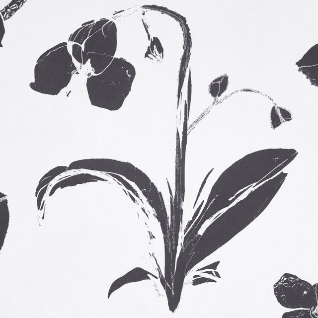 Orchids Have Dreams Soft Black by Hera Ford Painterly Floral Wallpaper – Schumacher 5014100