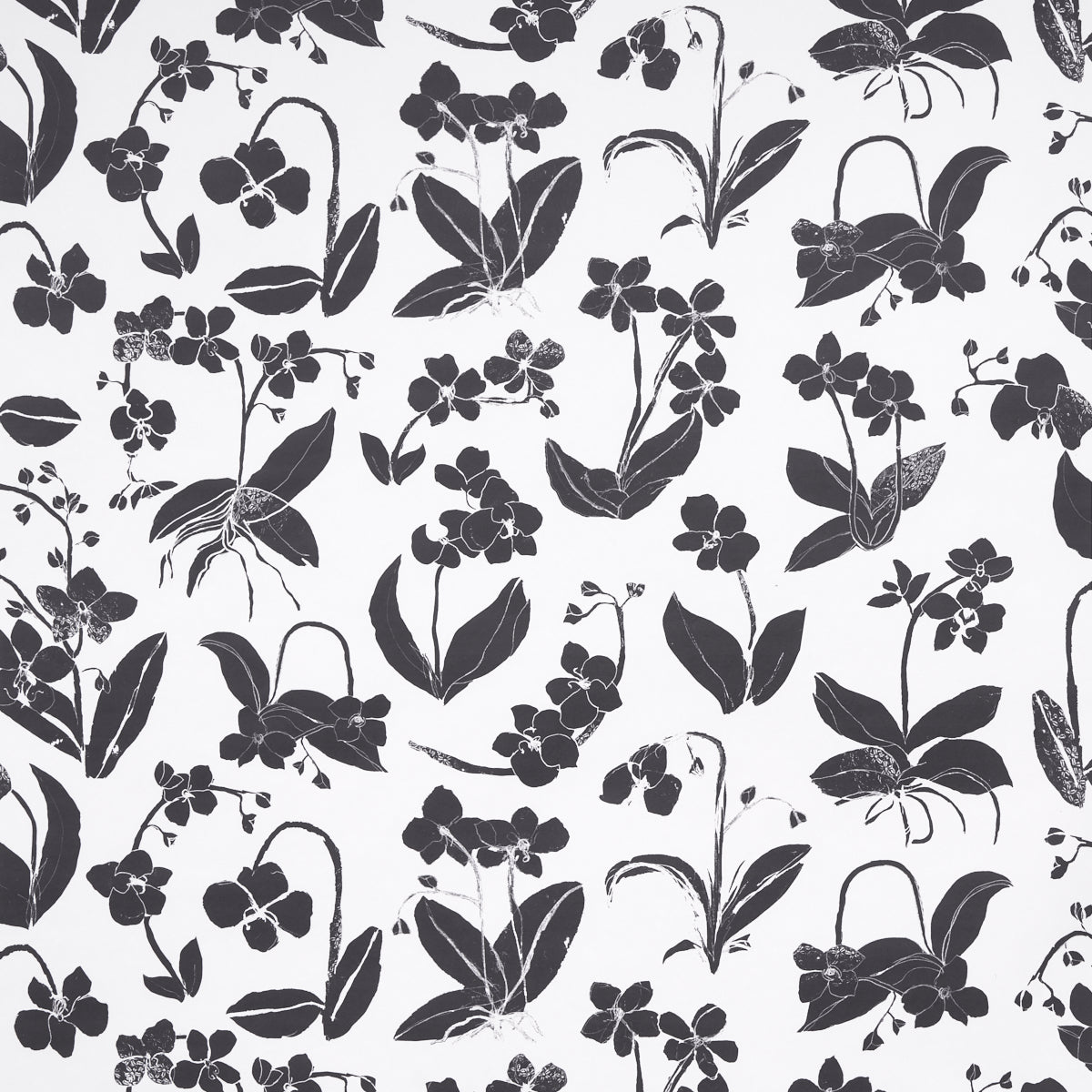 Orchids Have Dreams wallpaper in soft black by Hera Ford for Schumacher, featuring large-scale painterly orchid silhouettes on a white background.