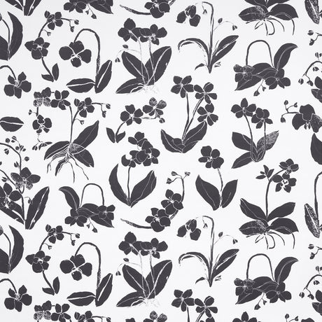 Orchids Have Dreams wallpaper in soft black by Hera Ford for Schumacher, featuring large-scale painterly orchid silhouettes on a white background.